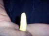 Playtex glove condom- finger dick.jpg