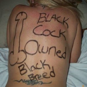 Black Cock Owned Black Bred