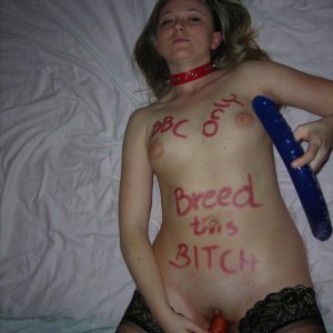 Gang Bang Slut $7 Breed This Bitch 2