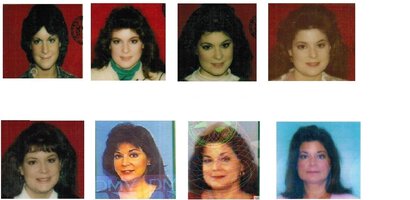 A Licence Picture History.jpg