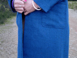 Blue coat1.gif