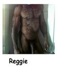 Reggie.jpg