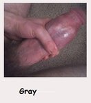 Gray.jpg