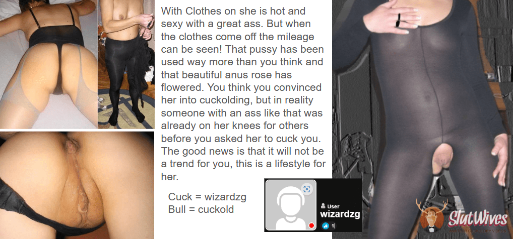 cuck and bull10.PNG
