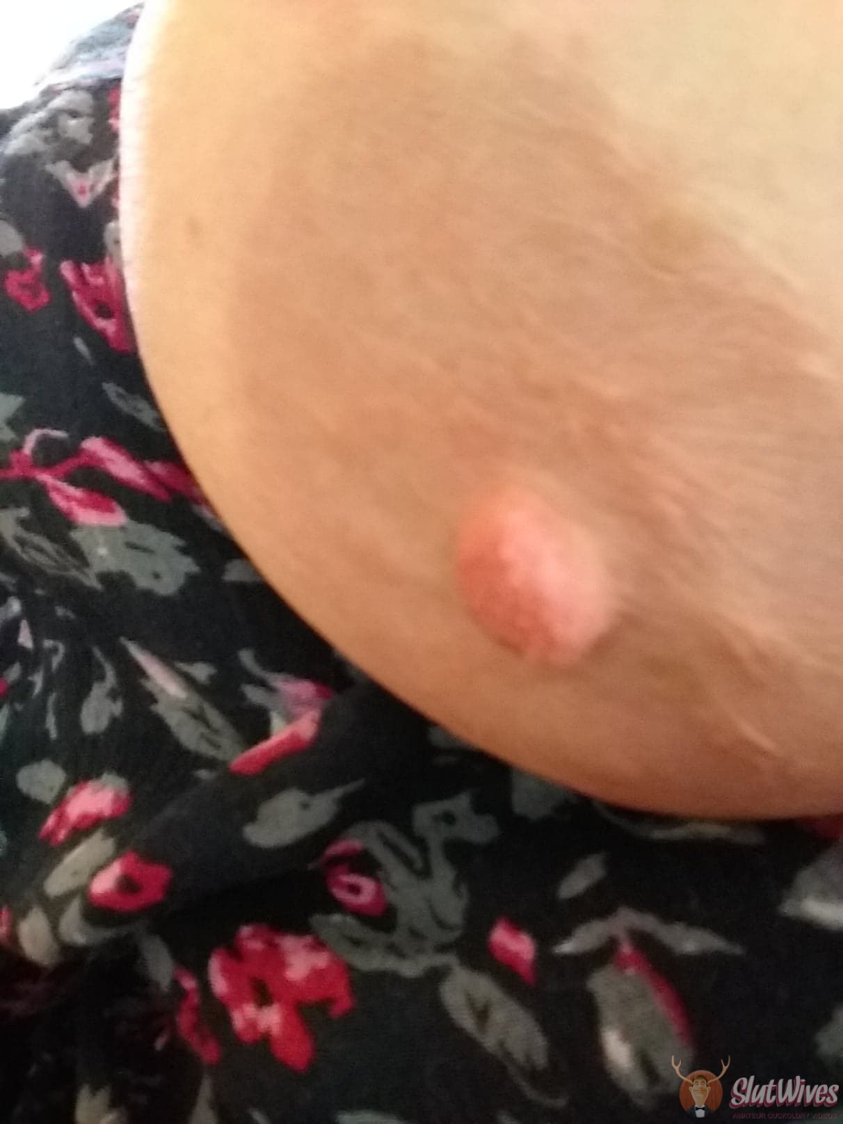 My Wife's Nipple